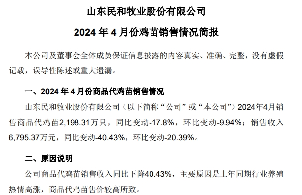 益生、民和和晓鸣2024年4月鸡苗销售情况