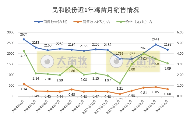 益生、民和和晓鸣2024年4月鸡苗销售情况