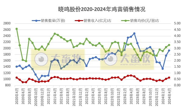 益生、民和和晓鸣2024年4月鸡苗销售情况