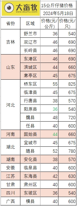 2024.05.18今日猪价——多地仍上涨
