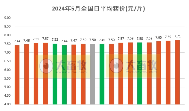 2024.05.18今日猪价——多地仍上涨