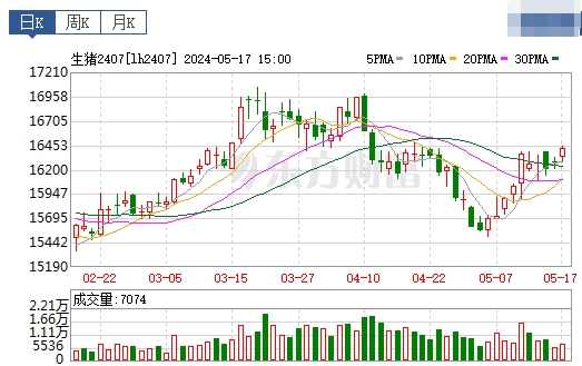 2024.05.18今日猪价——多地仍上涨
