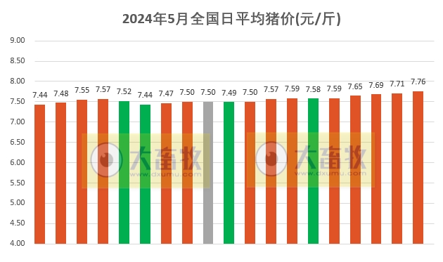 2024.05.19今日猪价——连续5天上涨，有16省突破8元