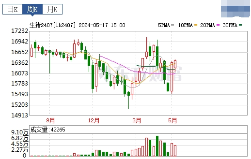 2024.05.19今日猪价——连续5天上涨，有16省突破8元
