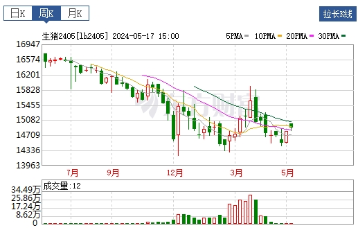2024.05.19今日猪价——连续5天上涨，有16省突破8元