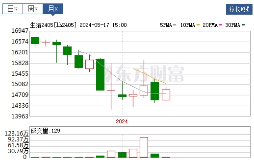 2024.05.19今日猪价——连续5天上涨，有16省突破8元