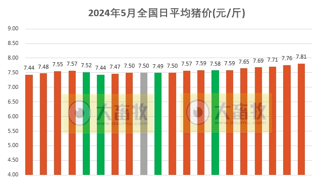 2024.05.20今日猪价——一路飘红,连续6天上涨,有17省突破8元