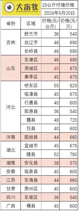 2024.05.20今日猪价——一路飘红,连续6天上涨,有17省突破8元