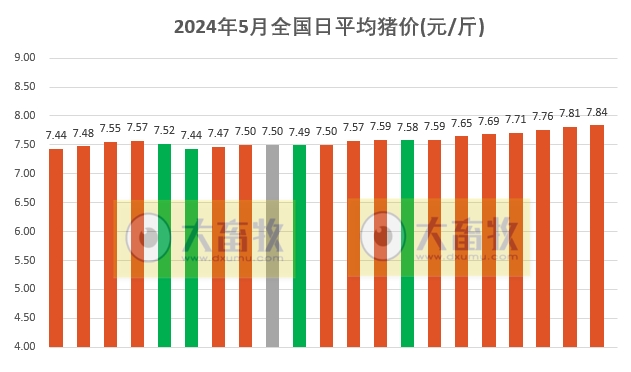2024.05.21今日猪价——连续7天上涨,但过半省份止涨维稳
