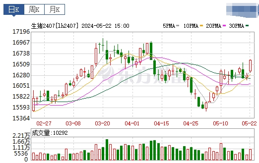 2024.05.23今日猪价——全面上涨,有23省突破8元