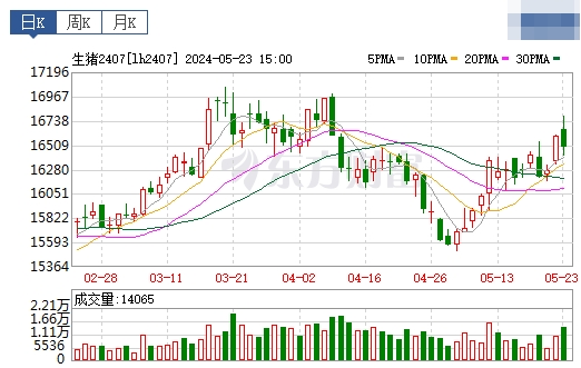 2024.05.24今日猪价——出现大幅增长,已有20省全面进入8元时代