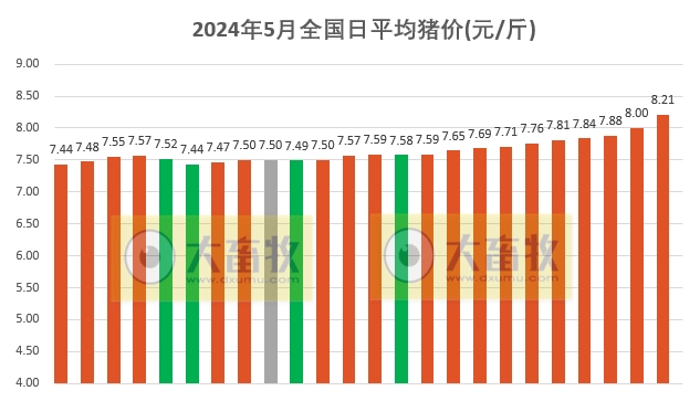 2024.05.24今日猪价——出现大幅增长,已有20省全面进入8元时代