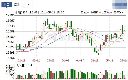 2024.05.25今日猪价——全面涨涨涨,均价创今年以来最高价,且接近去年最高价