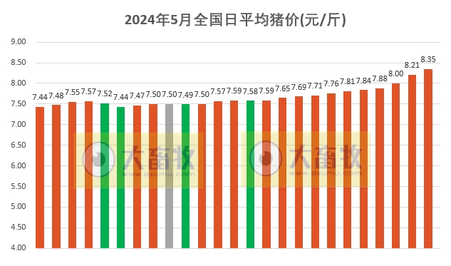 2024.05.25今日猪价——全面涨涨涨,均价创今年以来最高价,且接近去年最高价