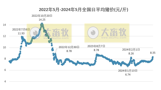 2024.05.25今日猪价——全面涨涨涨,均价创今年以来最高价,且接近去年最高价