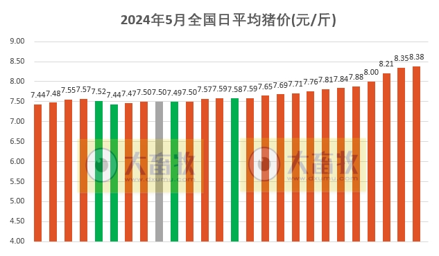 2024.05.26今日猪价——连续12天上涨，有少许省份止涨回落