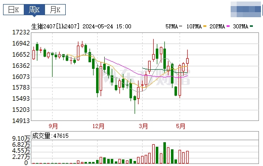 2024.05.26今日猪价——连续12天上涨，有少许省份止涨回落