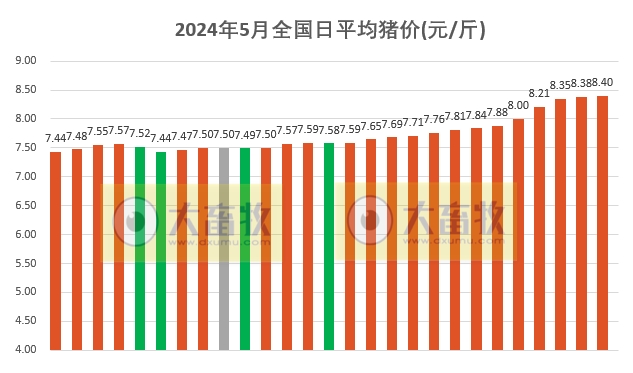 2024.05.27今日猪价——稳中有涨