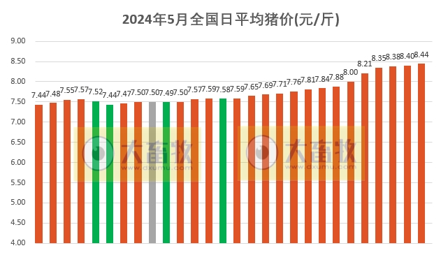 2024.05.28今日猪价——又出现大面积上涨