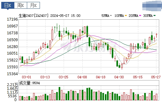 2024.05.28今日猪价——又出现大面积上涨