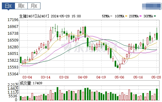 2024.05.29今日猪价——全面飘红,11省突破9元