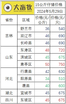 2024.05.29今日猪价——全面飘红,11省突破9元