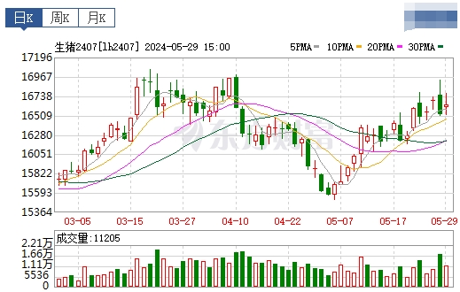 2024.05.30今日猪价——继续全面飘红，18省突破9元，均价基本与去年高点持平