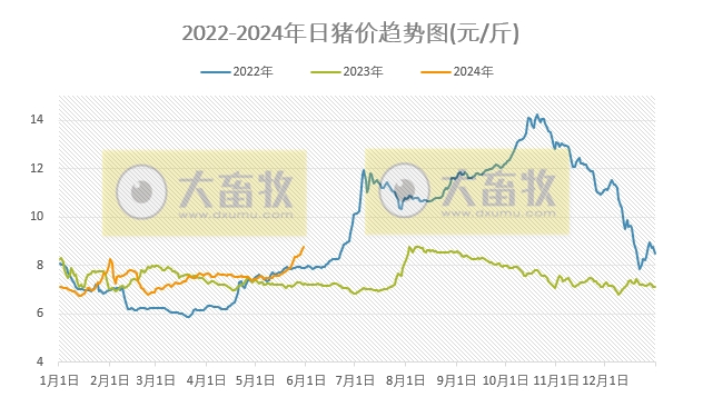 2024.05.30今日猪价——继续全面飘红，18省突破9元，均价基本与去年高点持平