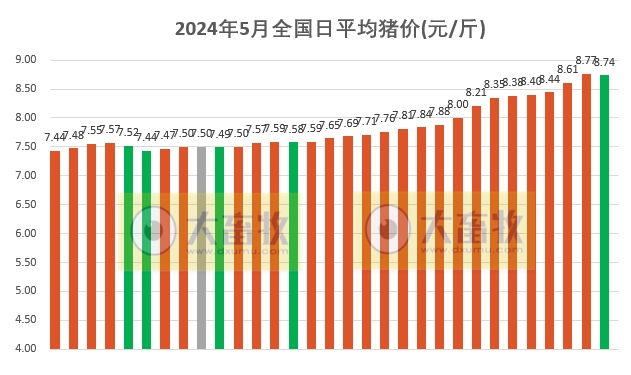 2024年5月全国平均猪价连续2个月环比上涨，且为近8个月最高价