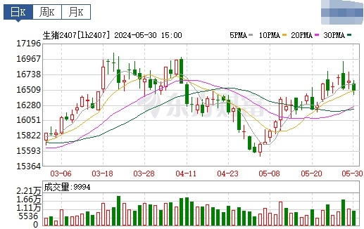 2024.05.31今日猪价——止涨回落，仍有少数继续上涨