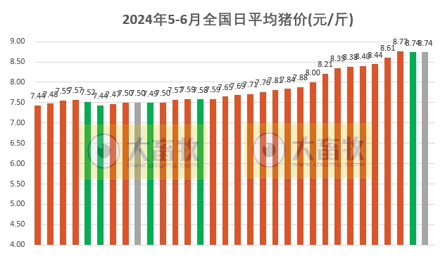 2024.06.01今日猪价——以稳为主，涨跌省份均有之