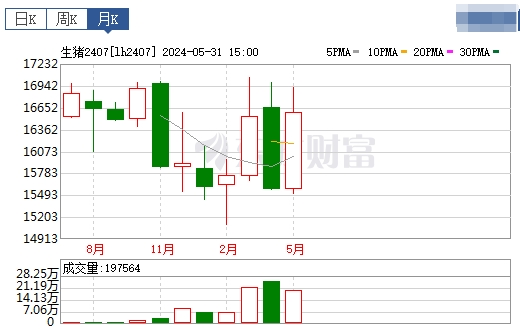 2024.06.02今日猪价——上涨又成了主旋律