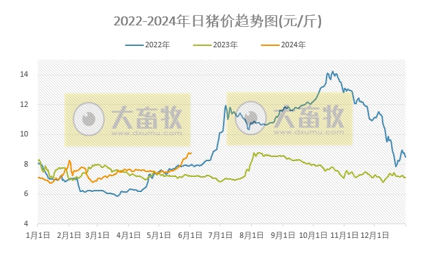 2024.06.02今日猪价——上涨又成了主旋律