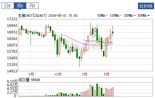 2024.06.02今日猪价——上涨又成了主旋律