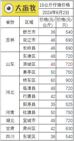 2024.06.02今日猪价——上涨又成了主旋律