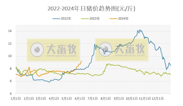 2024.06.04今日猪价——多省冲10元,有20省全面进入9元时代