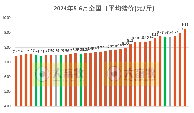 2024.06.04今日猪价——多省冲10元,有20省全面进入9元时代