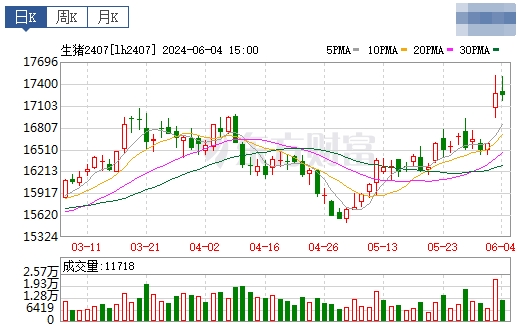 2024.06.05今日猪价——破10啦