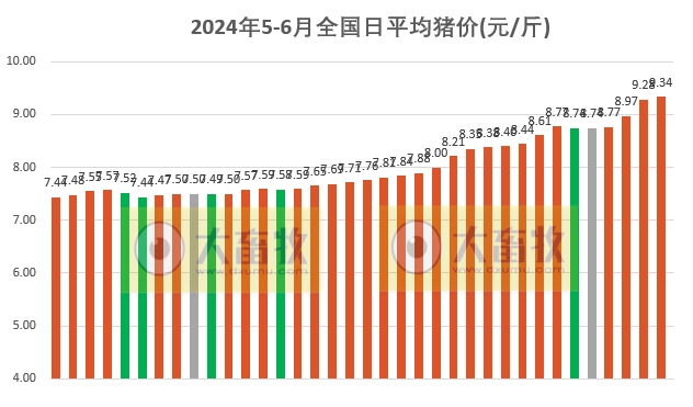 2024.06.05今日猪价——破10啦