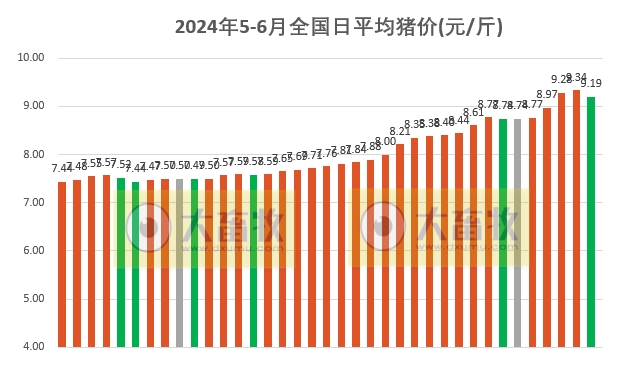 2024.06.06今日猪价——止涨回落，一路飘绿
