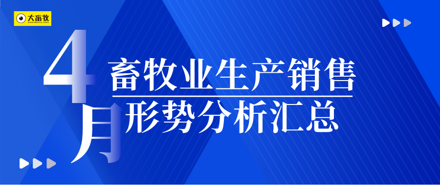 2024年4月畜牧业生产销售形势分析汇总