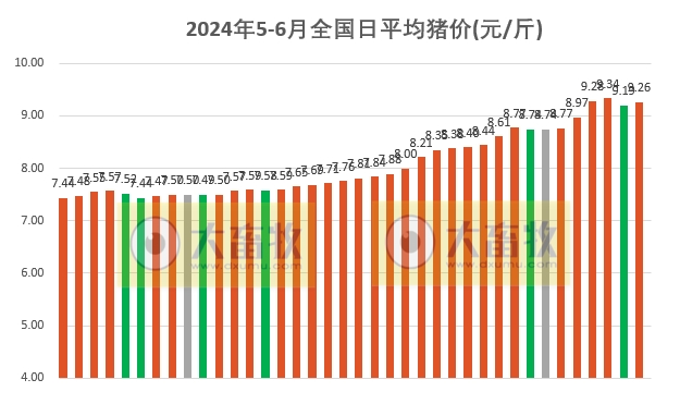 2024.06.07今日猪价——超半数恢复上涨
