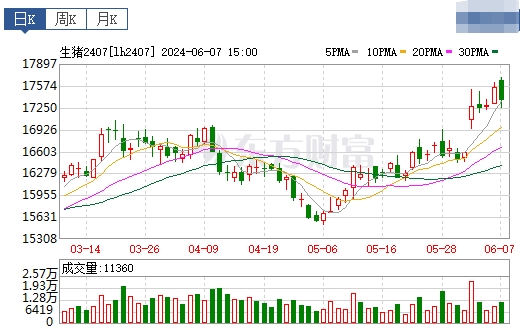 2024.06.08今日猪价——全面上涨，有5省突破10元