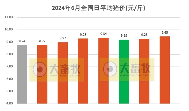 2024.06.08今日猪价——全面上涨，有5省突破10元