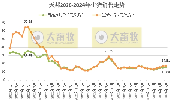 新希望、天邦、大北农和唐人神2024年5月生猪销售情况