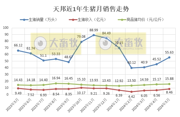 新希望、天邦、大北农和唐人神2024年5月生猪销售情况