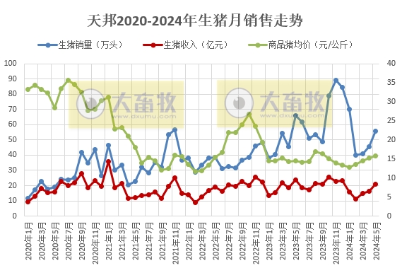 新希望、天邦、大北农和唐人神2024年5月生猪销售情况