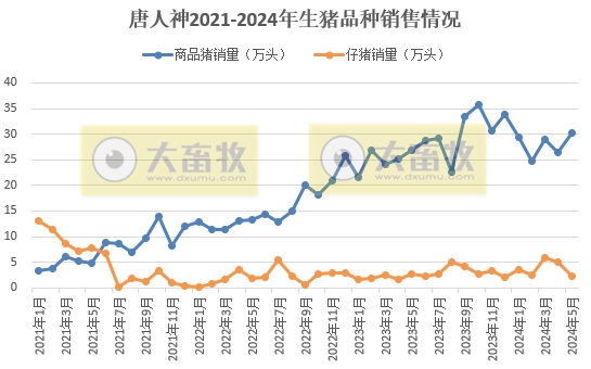 新希望、天邦、大北农和唐人神2024年5月生猪销售情况