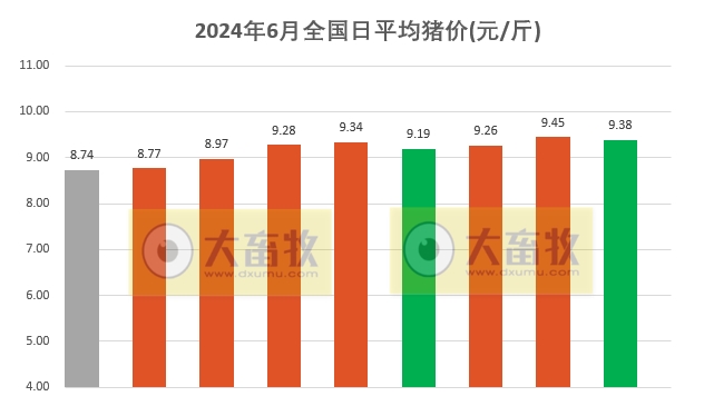 2024.06.09今日猪价——涨跌震荡中