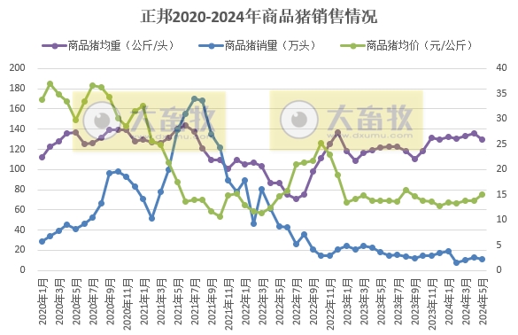 天康、正邦、京基和傲农2024年5月生猪销售情况